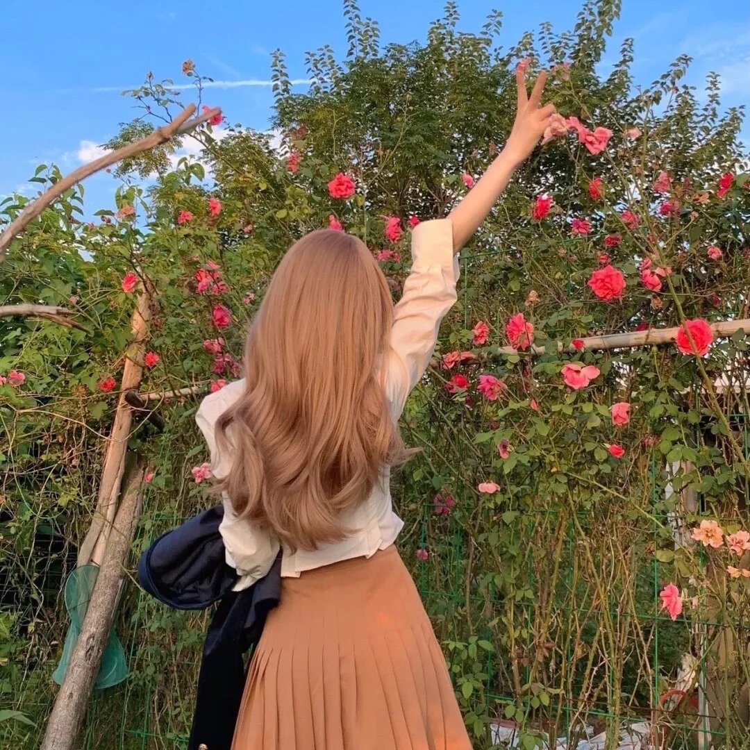 食戟之灵第一季